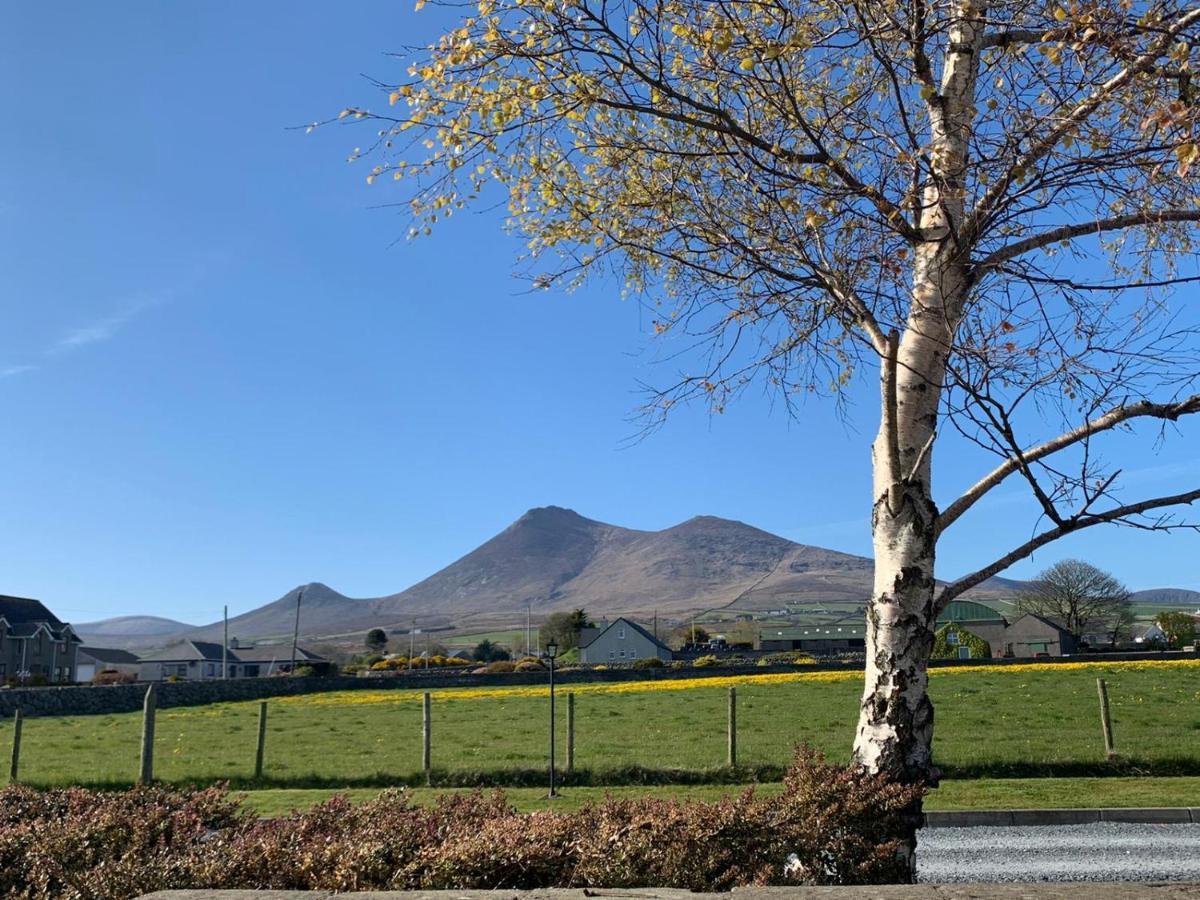 Lovely 2-Bed Cottage At The Foot Of The Mournes นิวรี ภายนอก รูปภาพ