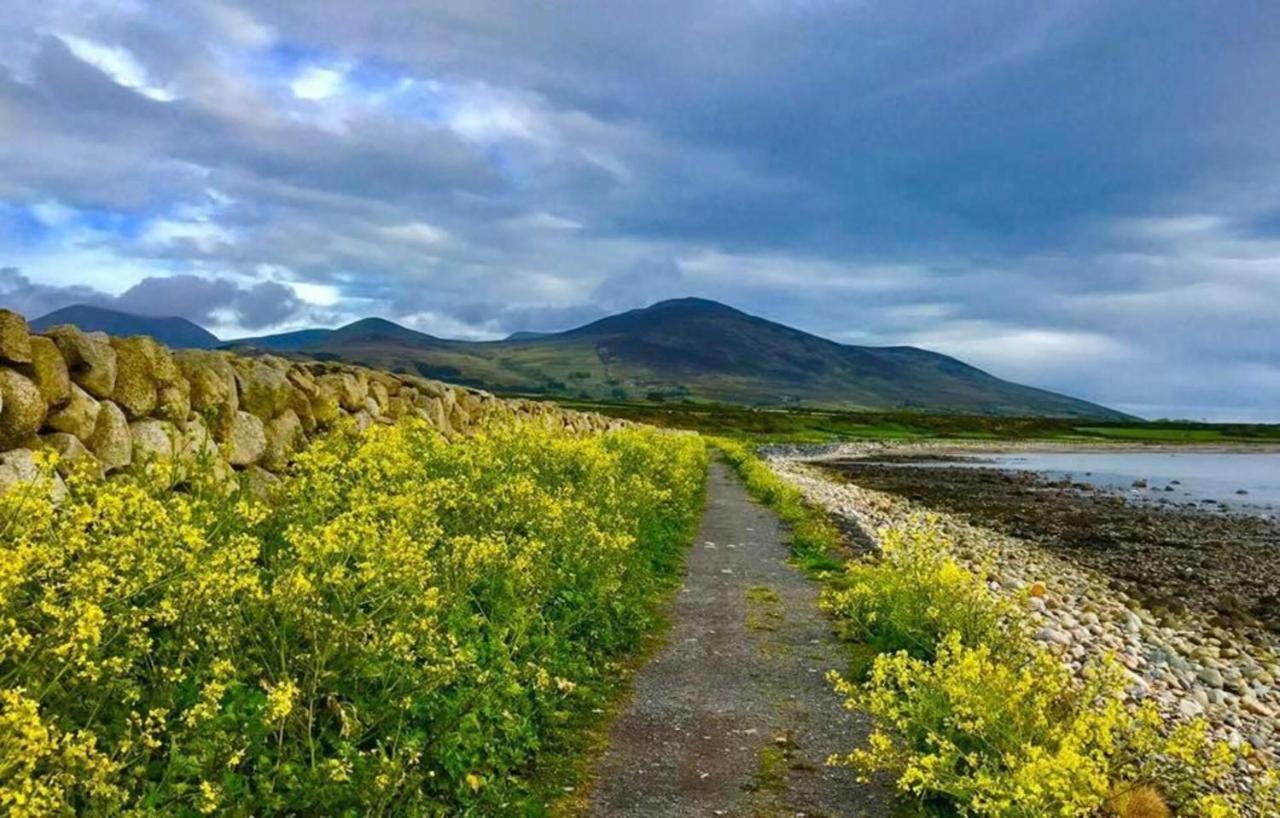 Lovely 2-Bed Cottage At The Foot Of The Mournes นิวรี ภายนอก รูปภาพ